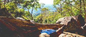 Tourism Listing Partner Accommodation Mount Tamborine